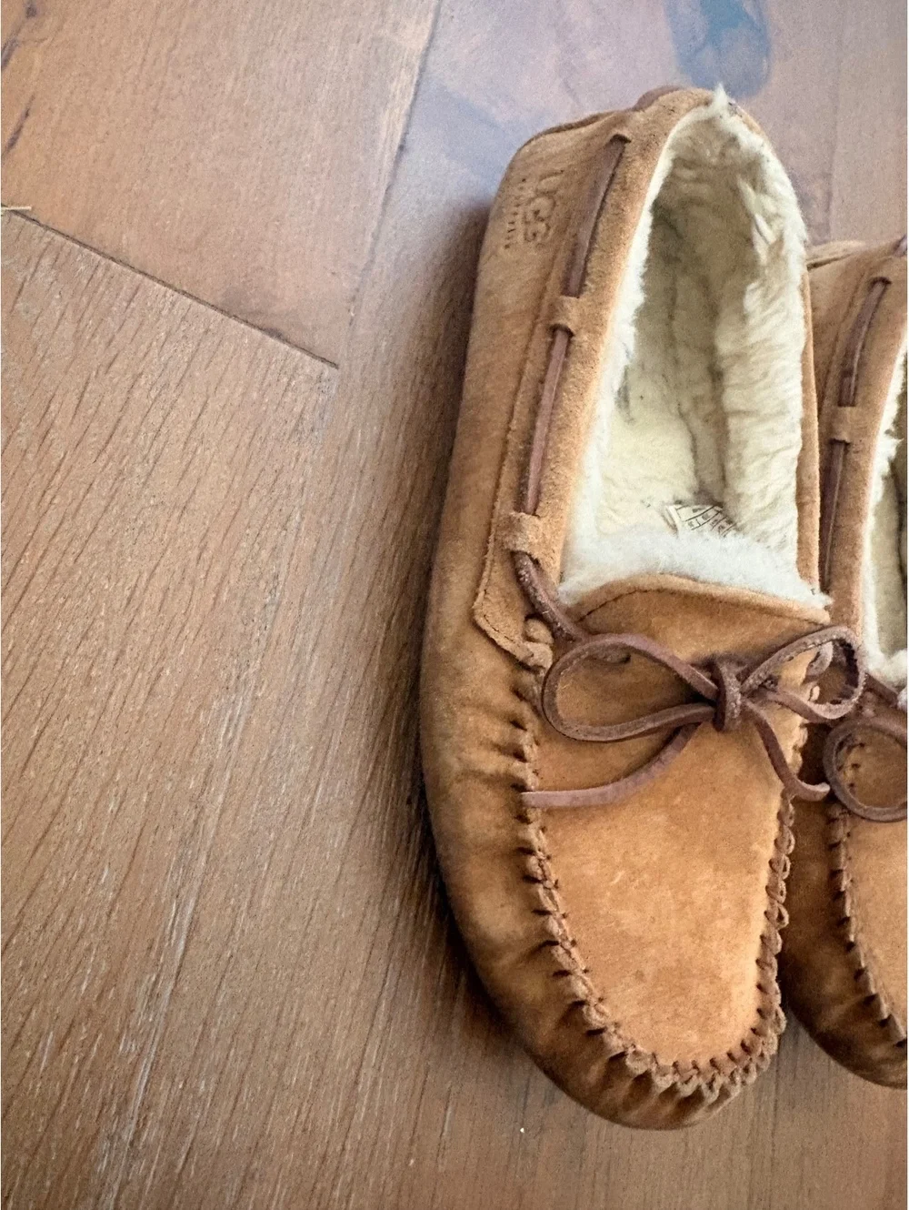UGG experience ultimate
